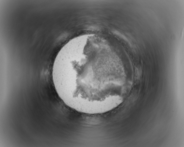 X0000086931254200705141735