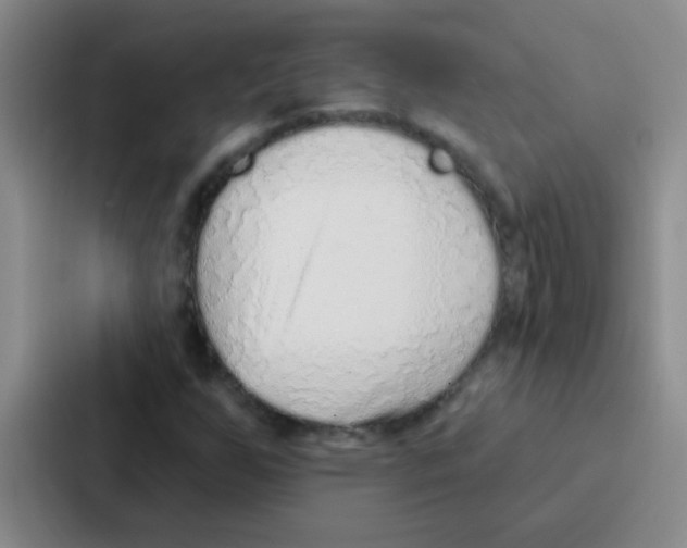 X0000086931255200705141735