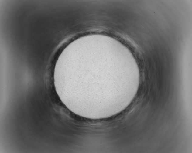 X0000086931256200705141735