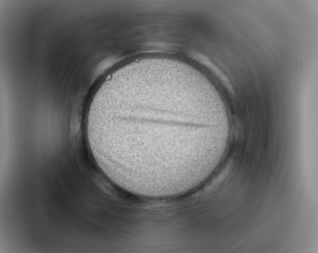 X0000086931259200705141735