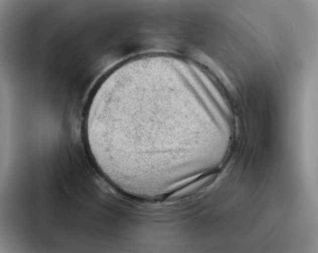 X0000086931260200705141735