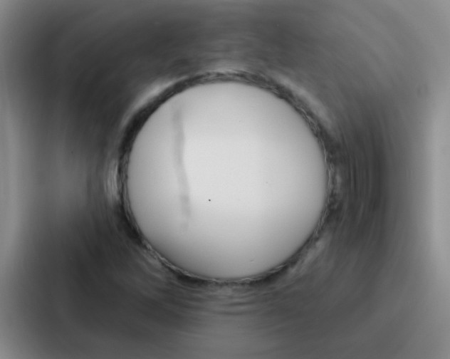 X0000086931262200705141735