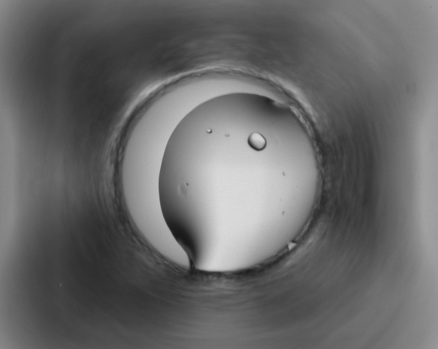 X0000086931263200705141735