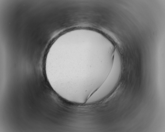 X0000086931264200705141735