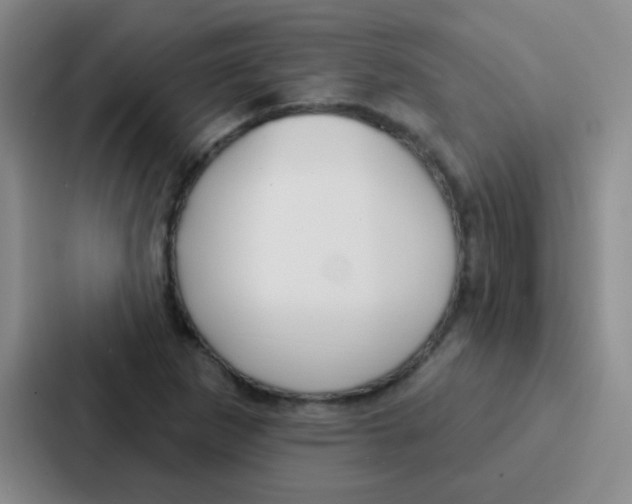 X0000086931265200705141735