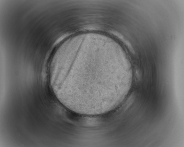 X0000086931266200705141735