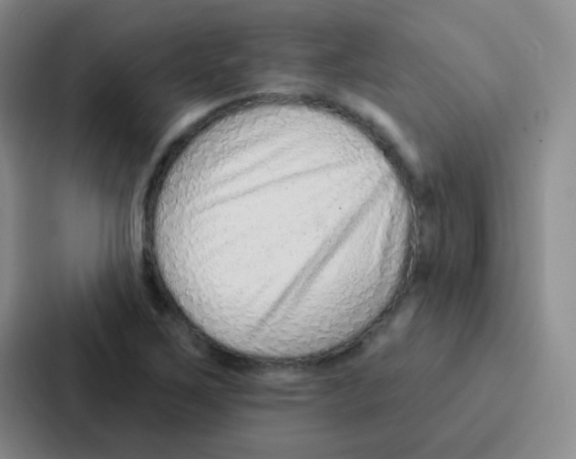 X0000086931267200705141735