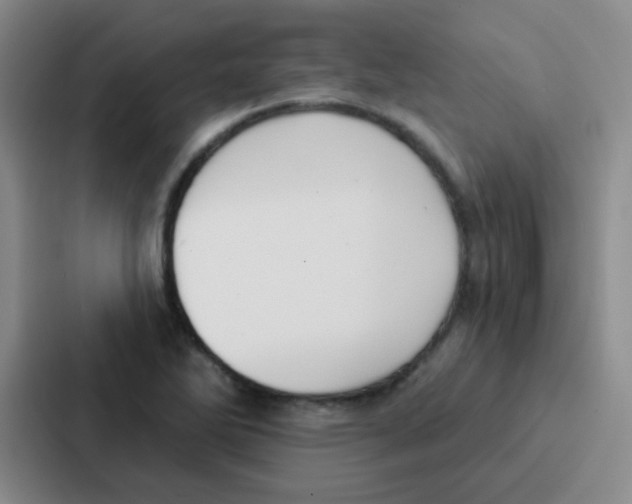 X0000086931270200705141735