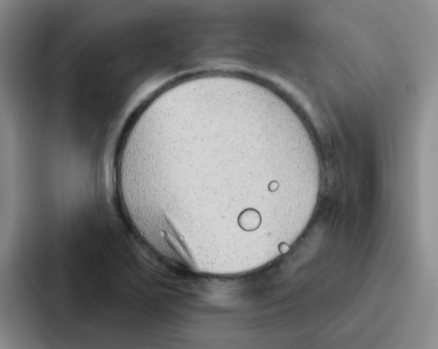 X0000086931271200705141735