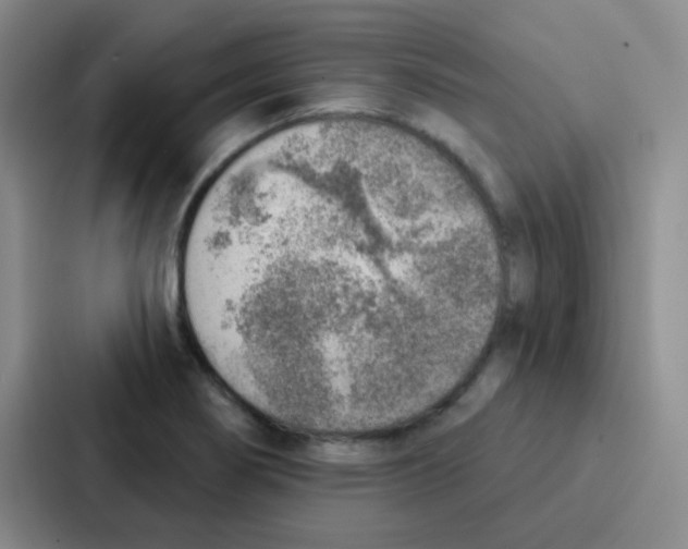 X0000086931274200705141735