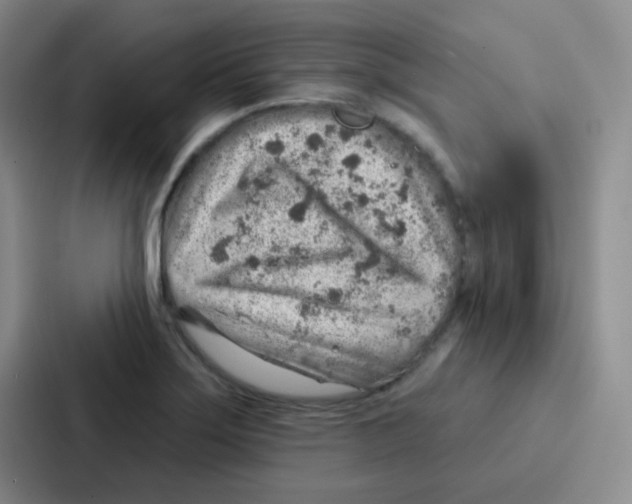 X0000086931275200705141735