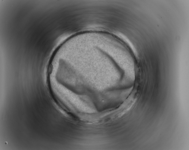 X0000086931277200705141735