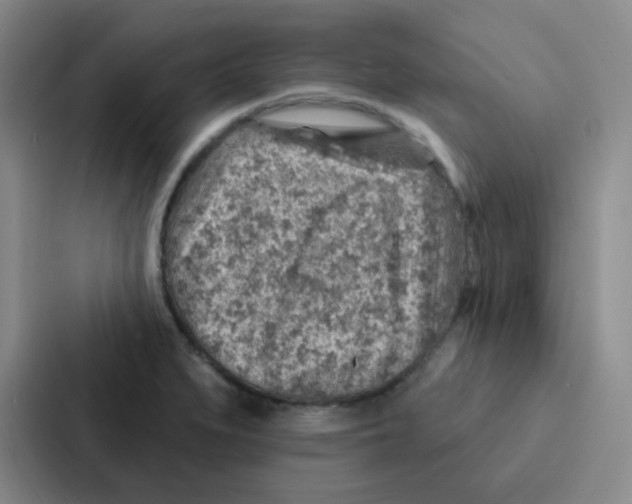 X0000086931279200705141735