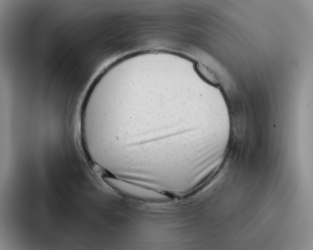 X0000086931280200705141735