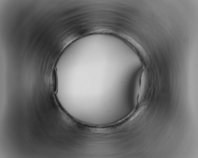 X0000086931281200705141735