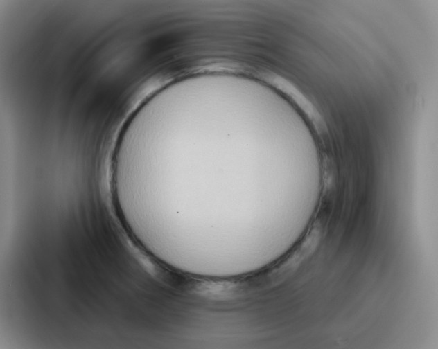 X0000086931282200705141735