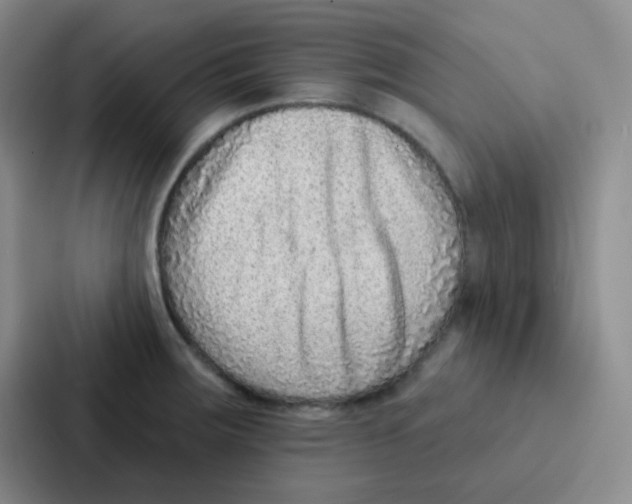 X0000086931283200705141735