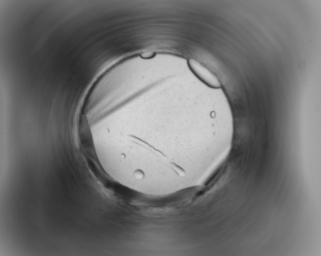 X0000086931284200705141735