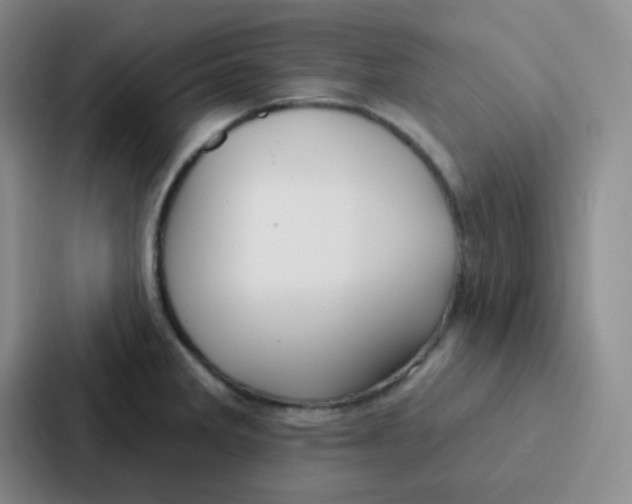 X0000086931285200705141735