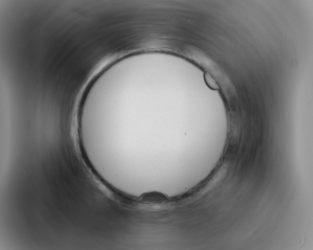 X0000086931286200705141735