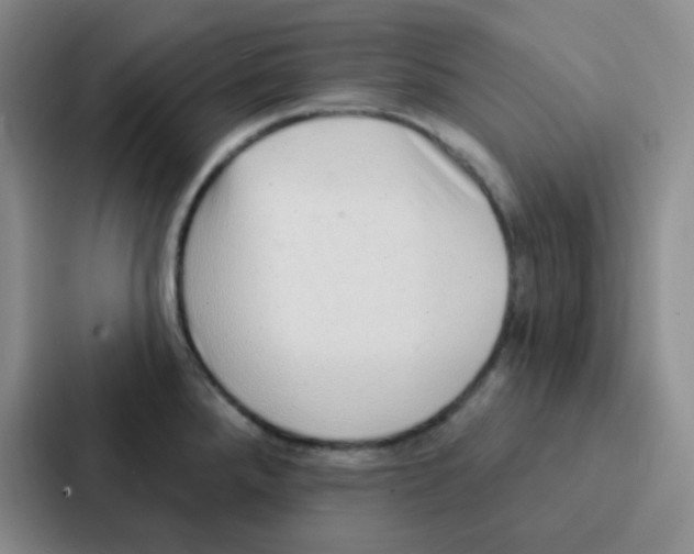 X0000086931288200705141735