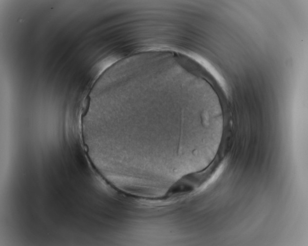 X0000086931289200705141735