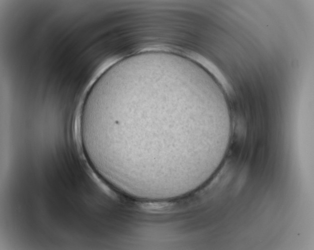 X0000086931290200705141735