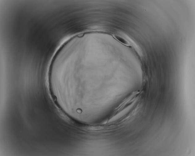 X0000086931291200705141735