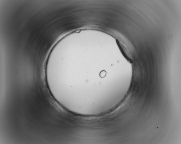 X0000086931292200705141735