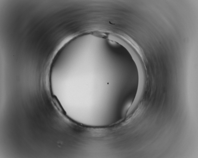 X0000086931293200705141735