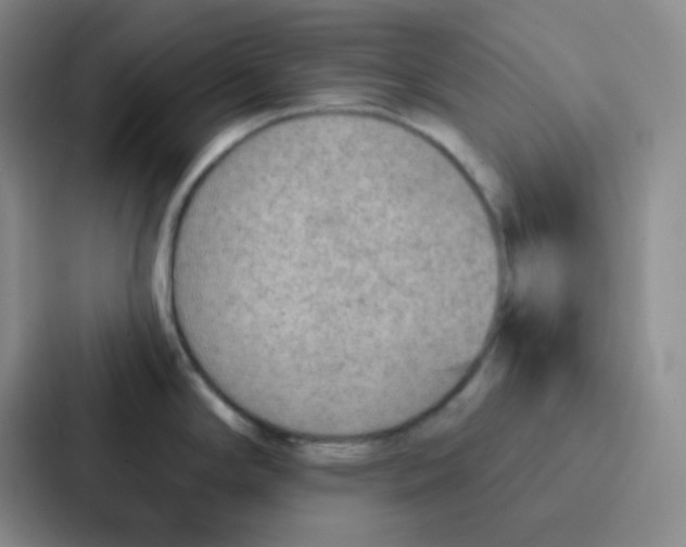 X0000086931294200705141735