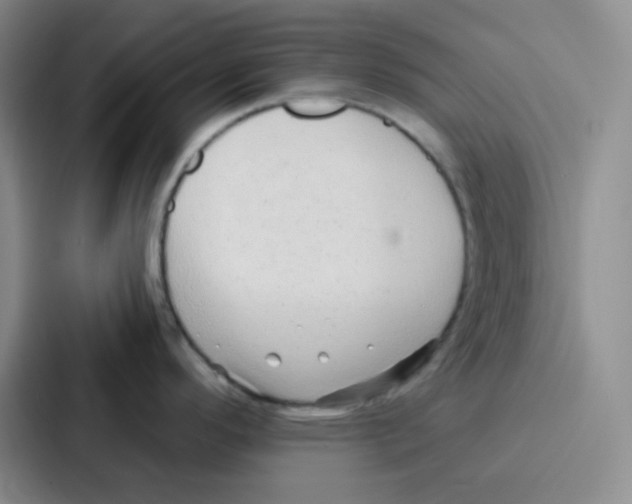 X0000086931296200705141735