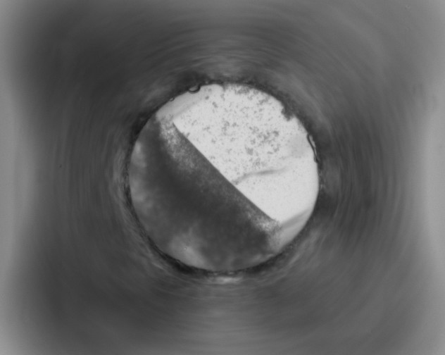 X0000086931297200705141734