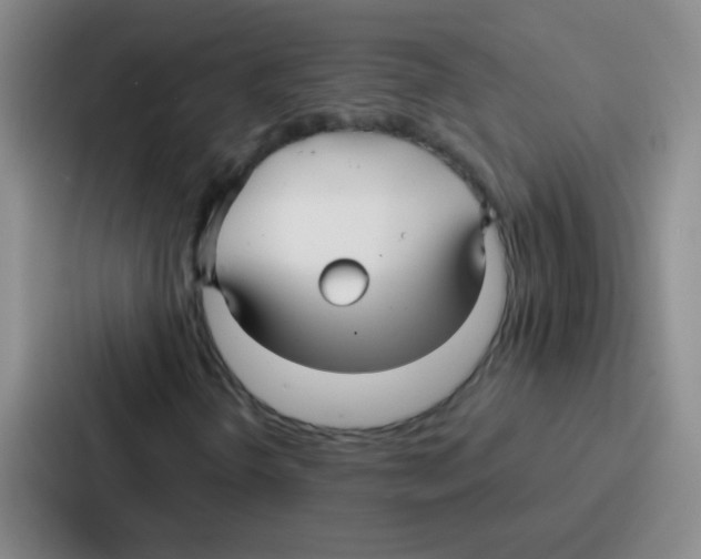 X0000086931298200705141734