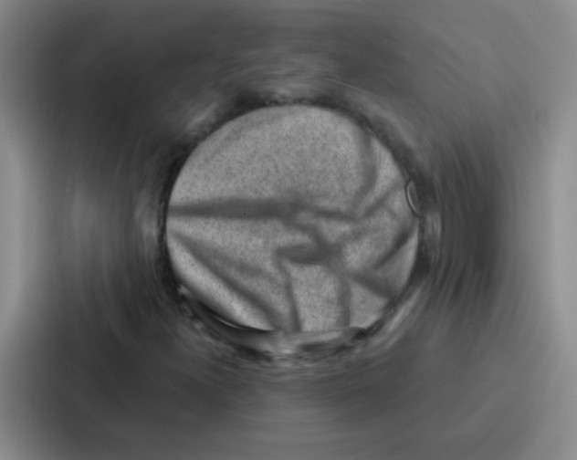 X0000086931300200705141734