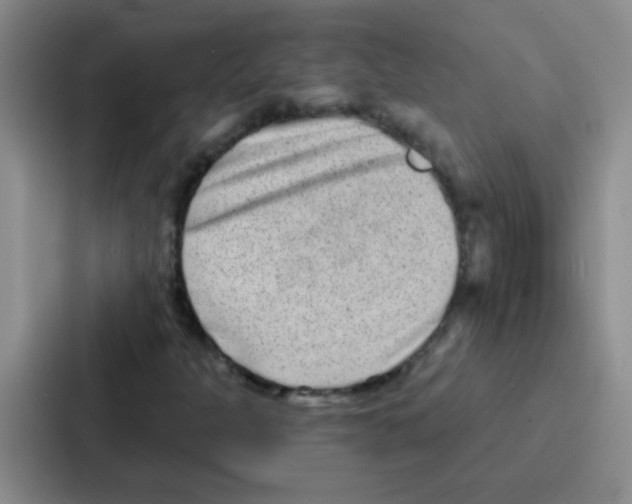 X0000086931301200705141734