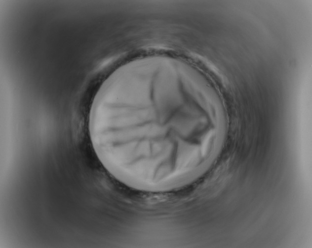 X0000086931303200705141734