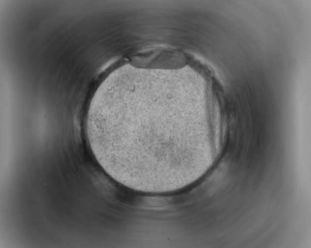 X0000086931305200705141734