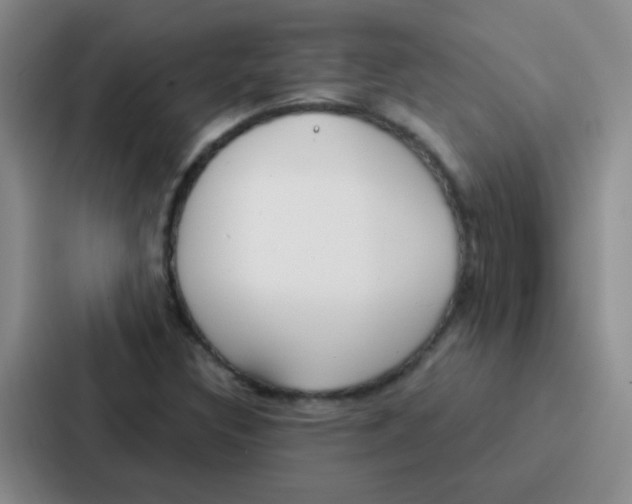 X0000086931308200705141734