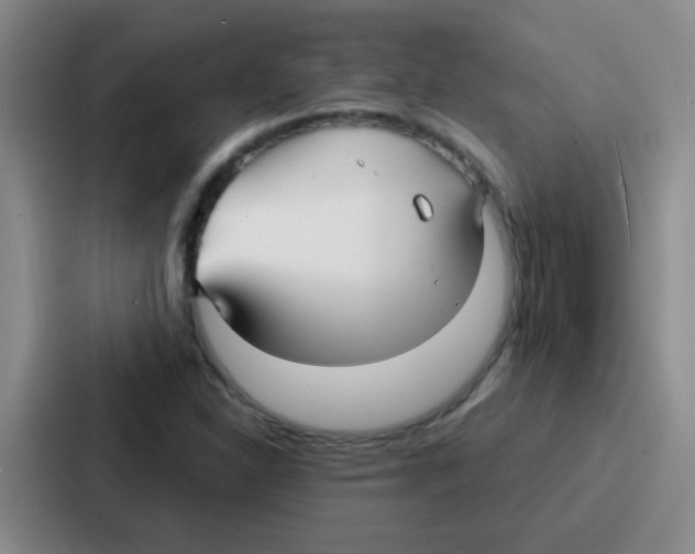 X0000086931310200705141734