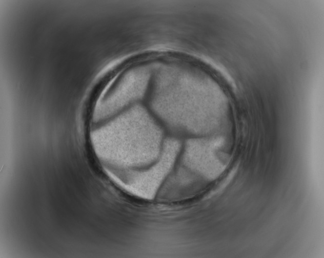 X0000086931311200705141734