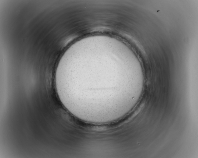 X0000086931313200705141734