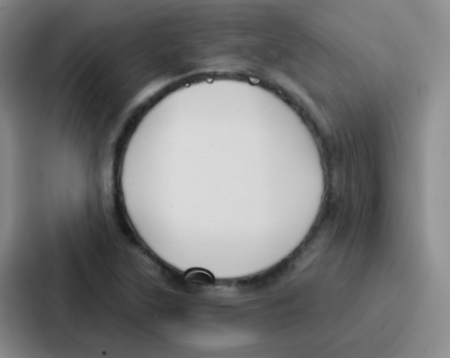 X0000086931315200705141734