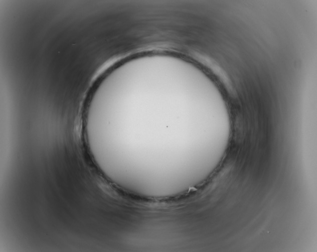 X0000086931316200705141734