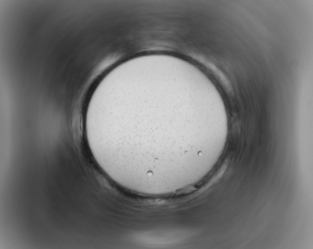 X0000086931317200705141734