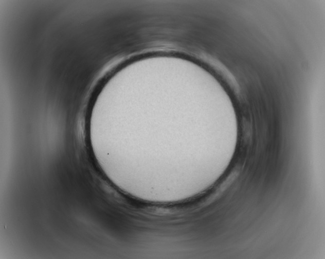 X0000086931318200705141734