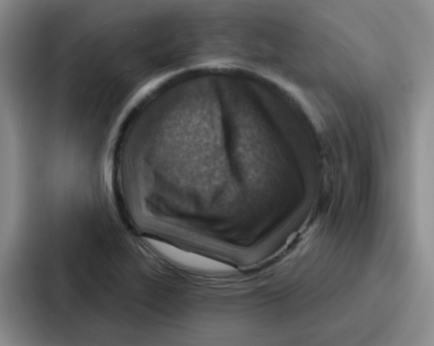 X0000086931319200705141734