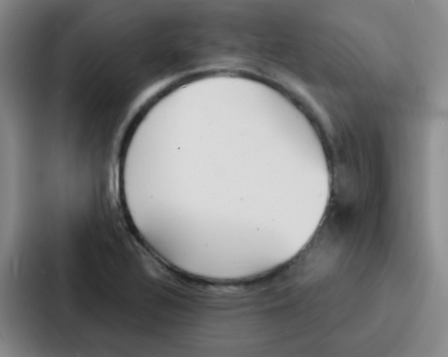 X0000086931320200705141734