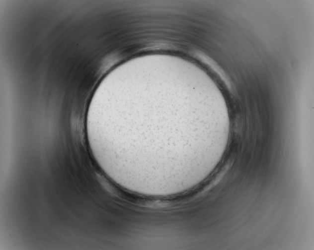 X0000086931321200705141734