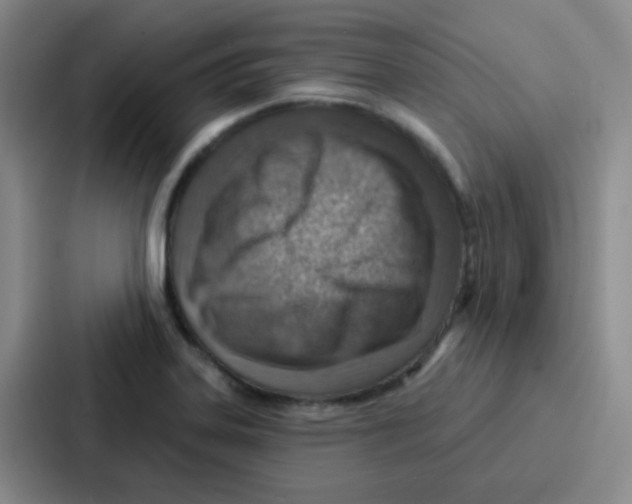 X0000086931323200705141734